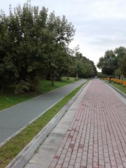 2013-08-25 19.30.03.jpg