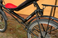 Bent Eco 02.JPG