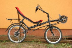 Bent Eco 06.JPG