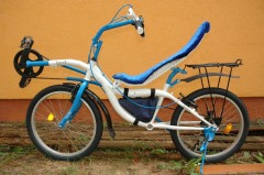 Bent Mini 06.JPG