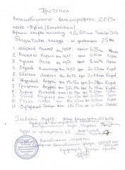 Протокол Дубна-2013.jpg
