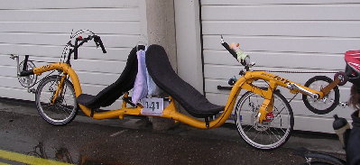 YellowToxyTandem.jpg