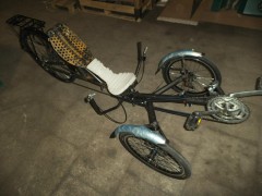 DSCF3956.JPG