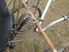 DSCN9239.JPG