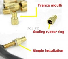 presta-valve-converter-for-bike-wheel-valve.jpg
