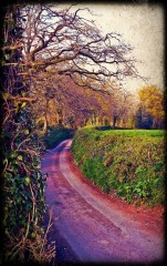 97437_Taunton_23.jpg