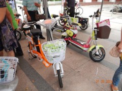 DSCN0238.JPG