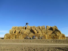 IMG_0699.JPG