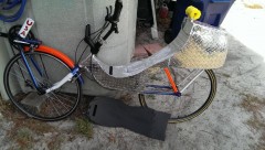 IMAG0817.jpg