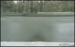 2 (1).gif