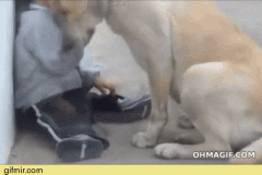 large[1].gif