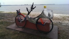 IMAG0893.jpg