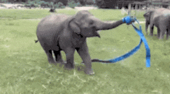 1406743046-7b6c7ef02cf80aab75f0ea48c1ceebca[1].gif