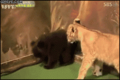 1407911869-2fc04172dc3423686c636fa05e7d973e[1].gif