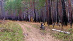 IMG_3468.JPG