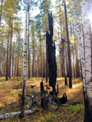 IMG_3506.JPG
