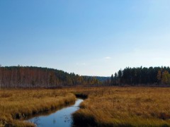 IMG_3510.JPG