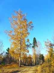IMG_3519.JPG
