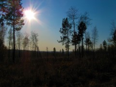 IMG_3516.JPG