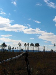 IMG_3480.JPG