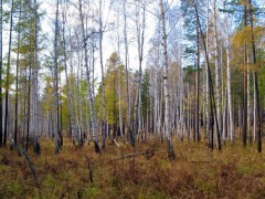 IMG_3491.JPG