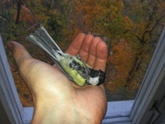 20141010_170557.jpg