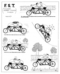 FST-tandem.png