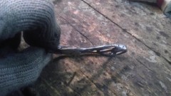 IMAG0873.jpg
