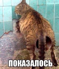 6TjSOdsuryA.jpg