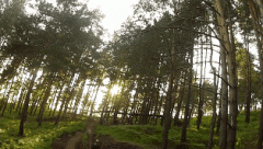 4.gif
