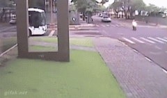 16.gif