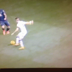 15.gif