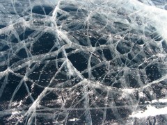 IMG_2615.JPG