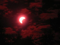 IMG_2185.JPG