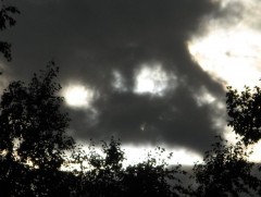 IMG_2205.JPG