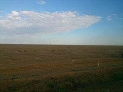 DSC_0970.JPG