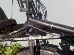 IMG_20150704_080110.jpg