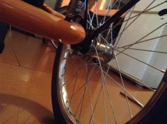 2015-07-04 15.03.58.jpg