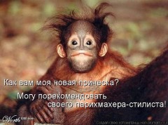 55947ffa8848e46accb29a66b2899a9f-0a2dffa7254c6939a3dfd466f6647f7e.jpeg