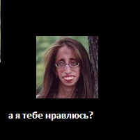 780440.jpg