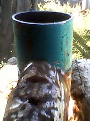 DSC_0000137.jpg