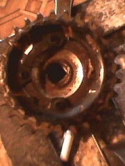 DSC_0000155.jpg