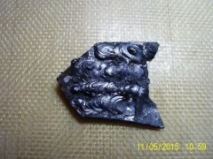PIC_0346.JPG