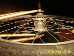 PIC_0037.JPG