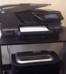 1456058896-f0f70b91e2564f4c0a320bf50083c45c.gif