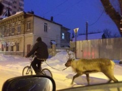 fotopodborka_subboty_69_foto_64.jpg
