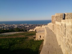 DSC_1480.JPG