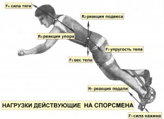 Идея упоров и нагрузки.jpg