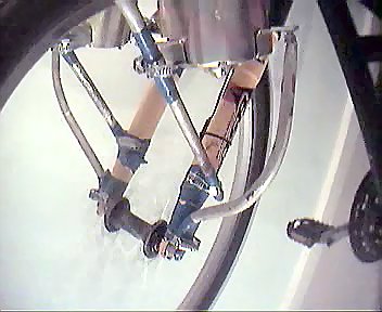 52d075e98cc0.jpg