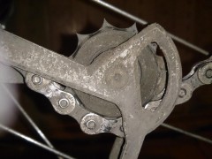 DSC_2022.JPG